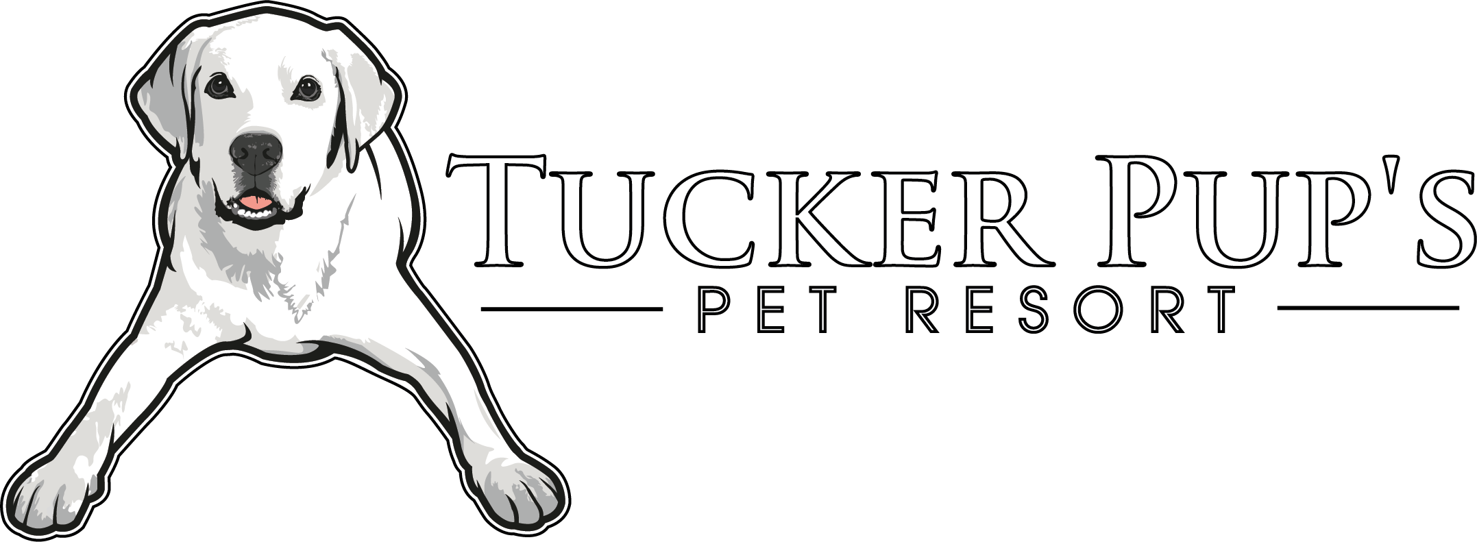 Chicago Dog Boarding and More