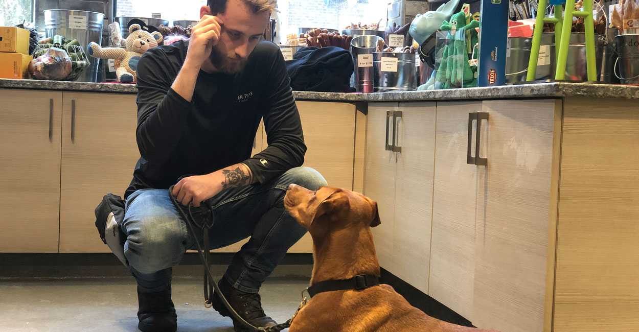 Chicago Positive Reinforcement Dog Training