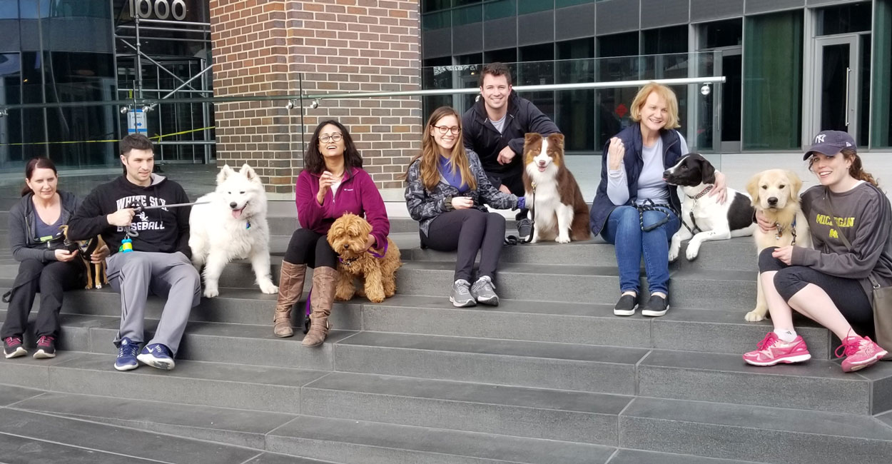Dog Training Testimonials