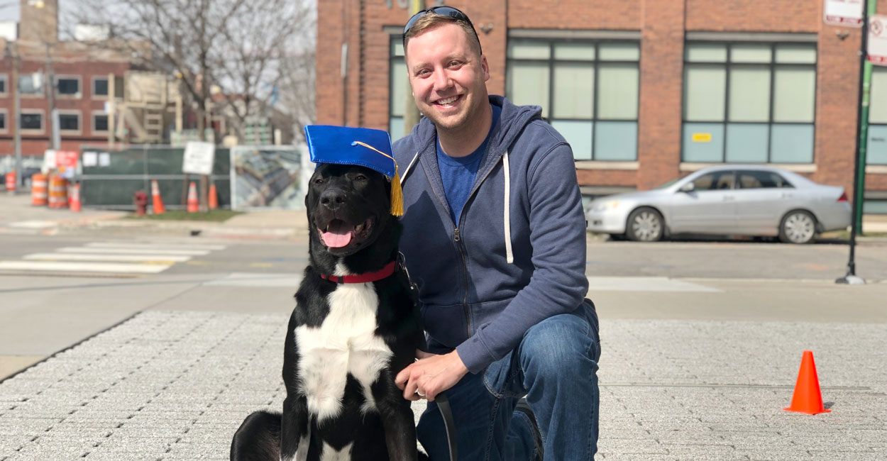Free Dog Training Webinar