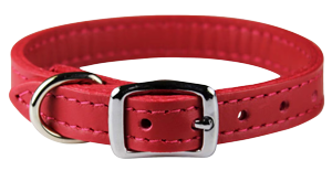 Buckle Collar