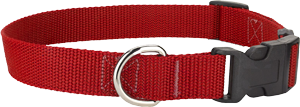 Quick Release Collar